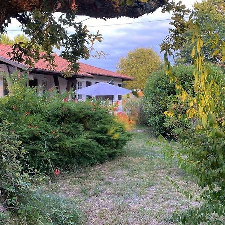 فيلا Cool Landes Sainte-Eulalie-en-Born المظهر الخارجي الصورة