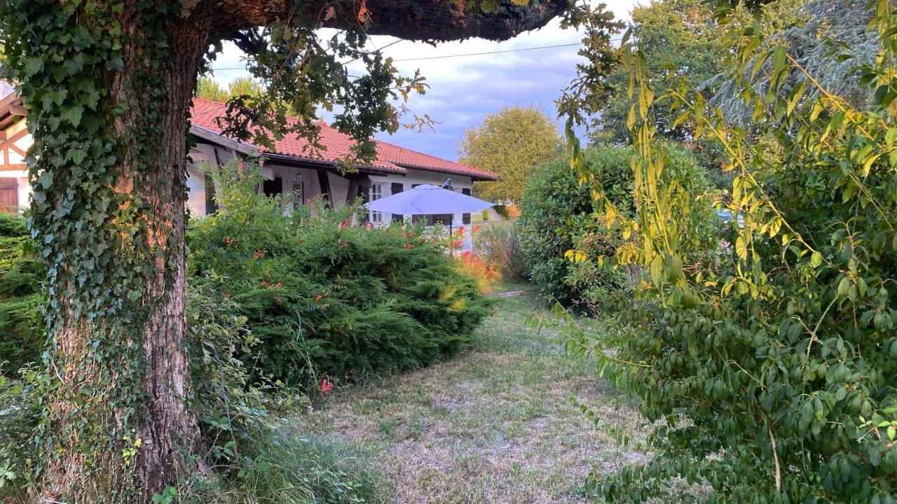 فيلا Cool Landes Sainte-Eulalie-en-Born المظهر الخارجي الصورة