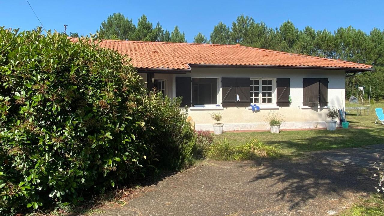 فيلا Cool Landes Sainte-Eulalie-en-Born المظهر الخارجي الصورة